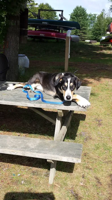 Wakonda Family Campground Picture 9