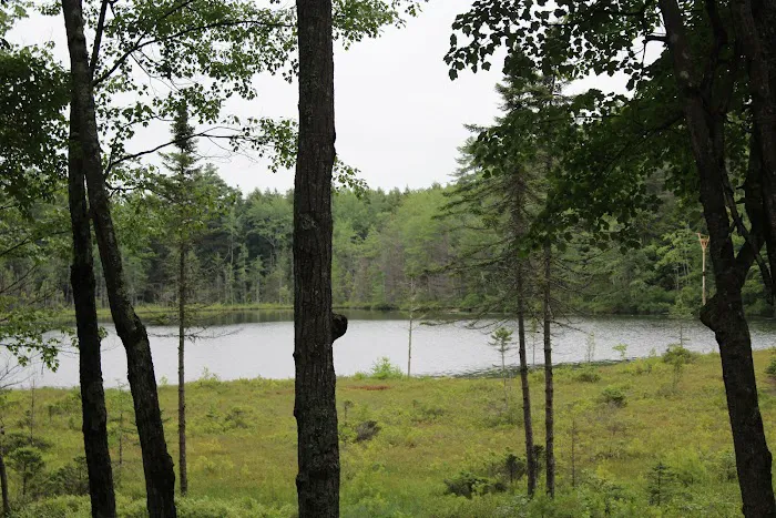 Wakonda Family Campground Picture 7