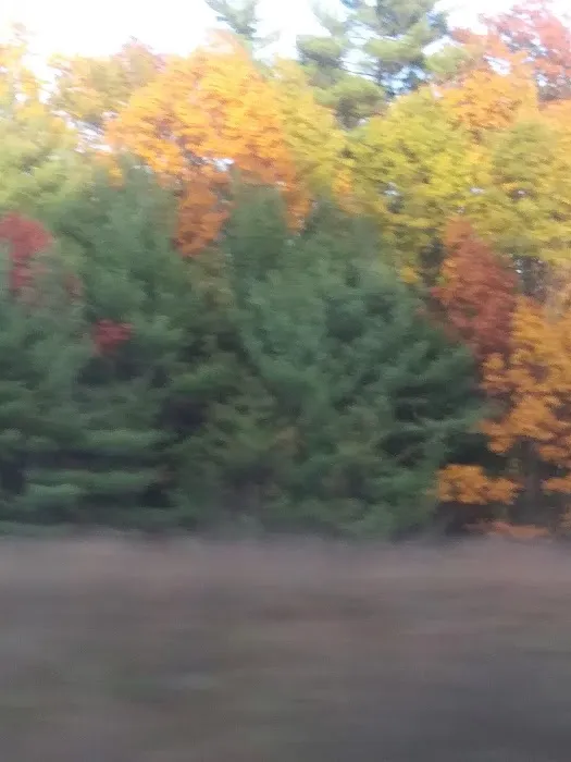 Ideal Campground Picture 9