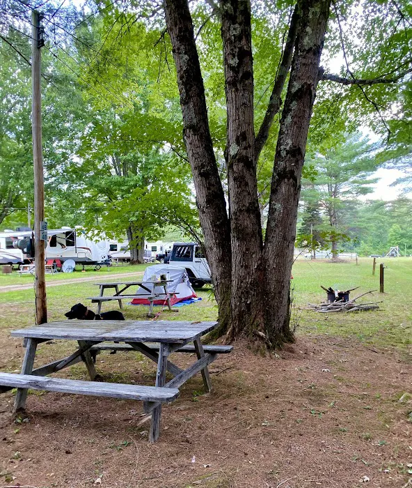 Ideal Campground Picture 6