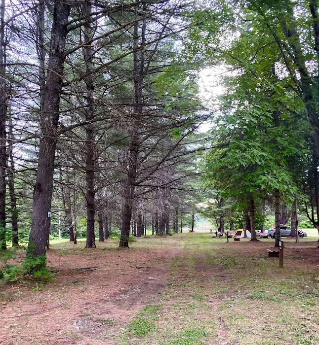 Ideal Campground Picture 4