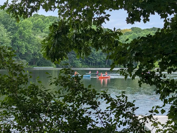 Camp Picture 7