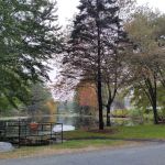 Pine Valley Plantation