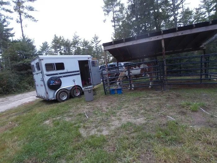 The Wagon Wheel Campground Picture 7