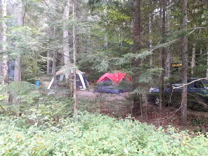 Lake Durant Campground Picture 5