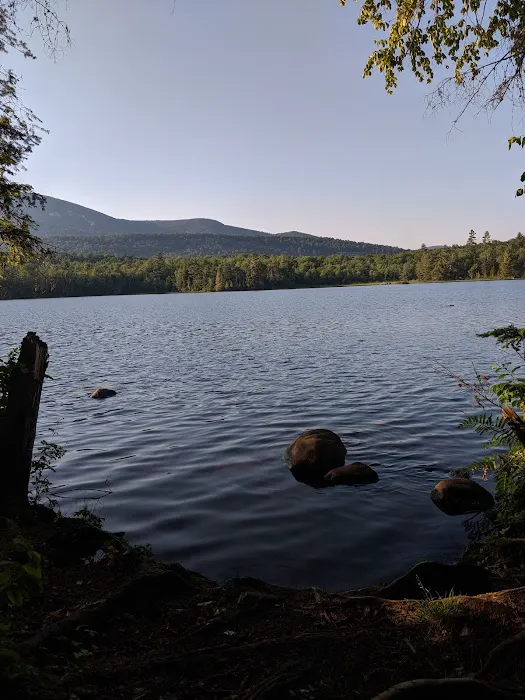Lake Durant Campground Picture 4