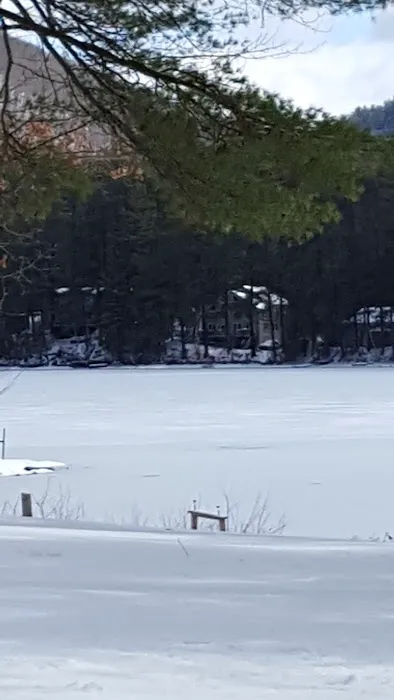 Forest Lake Campground Picture 6