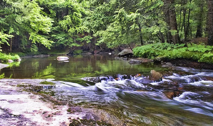 Crow's Nest Campground Picture 1