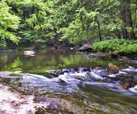 Crow's Nest Campground