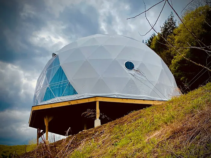 Dome@Meadows Picture 7