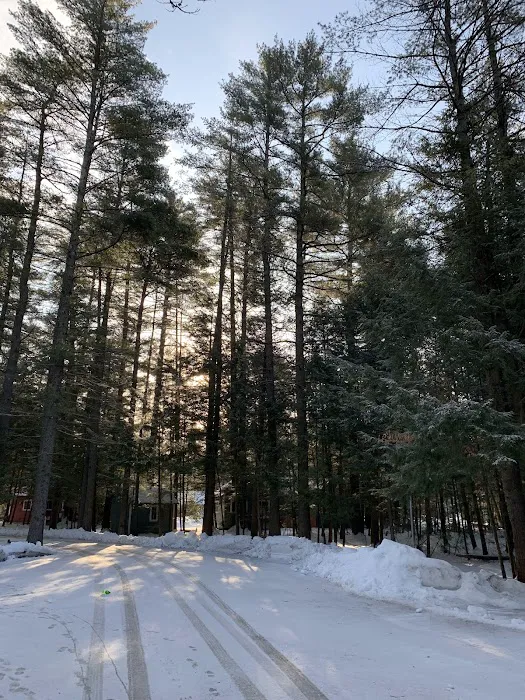 Word of Life Pines Picture 6