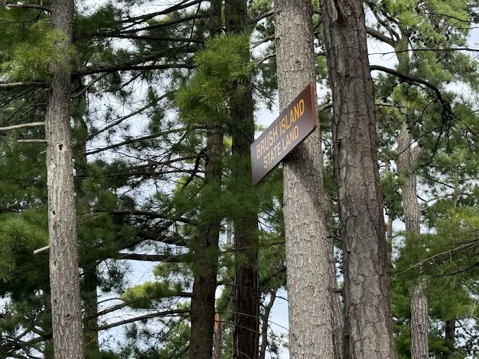 Brush Island Campground Picture 6