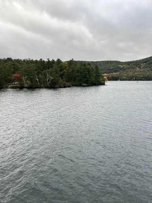 Brush Island Campground Picture 5