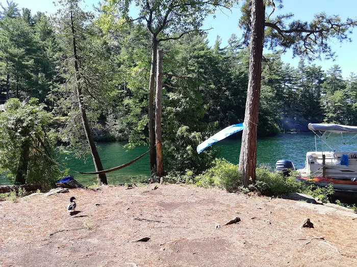 Brush Island Campground Picture 7