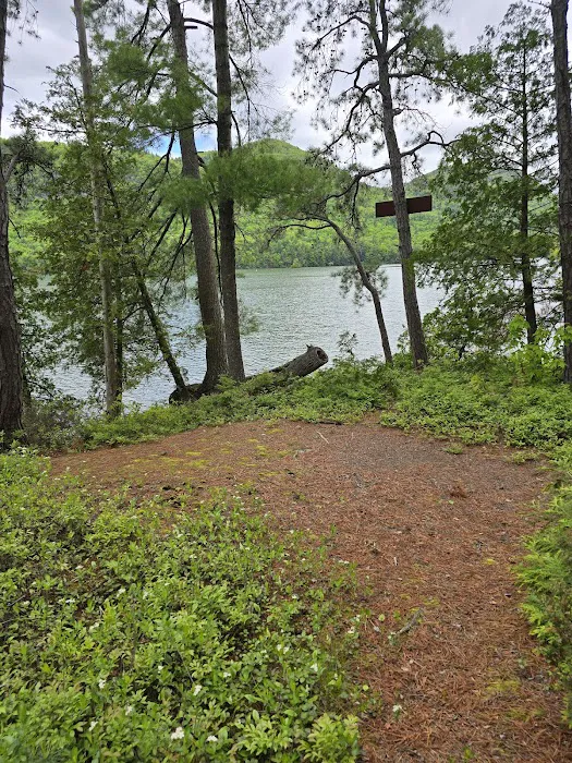 Brush Island Campground Picture 2