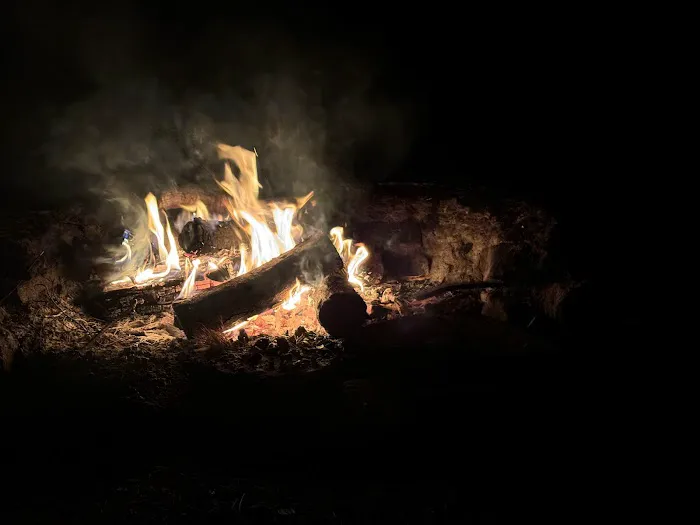 Brush Island Campground Picture 1