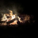 Brush Island Campground