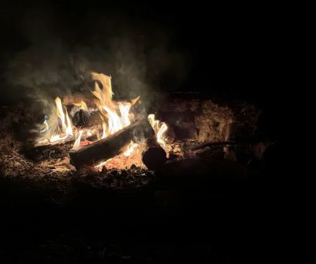 Brush Island Campground