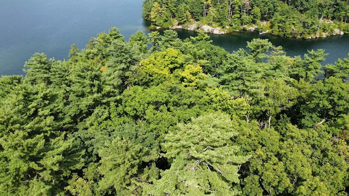 Uncas Island Campground Picture 8