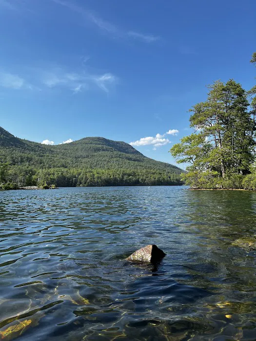 Gourd Island Campground #1 Picture 6