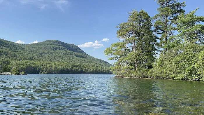 Gourd Island Campground #1 Picture 8