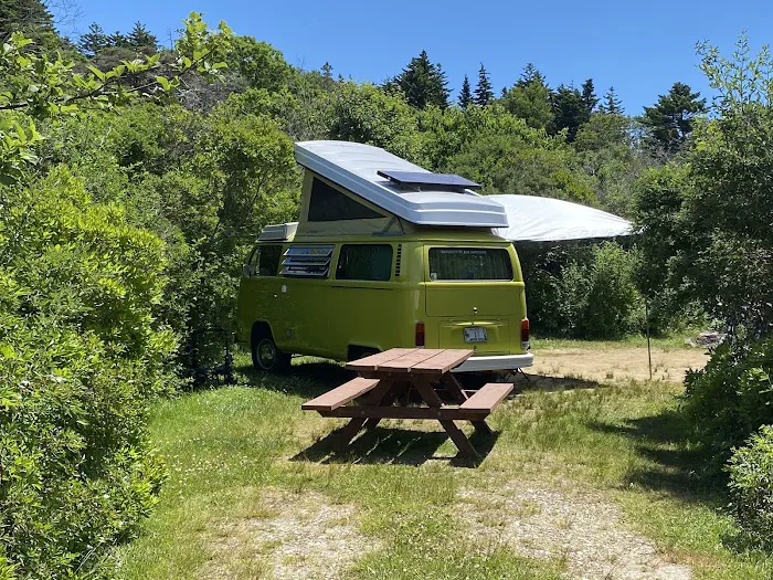 Hermit Island Campground Picture 6