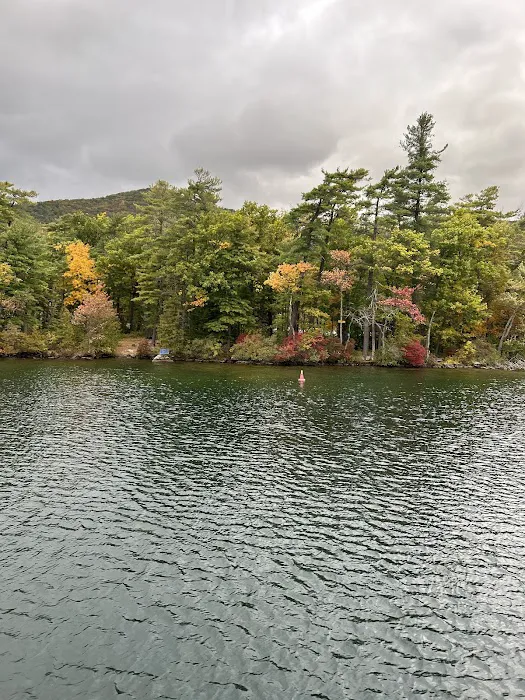 Fork Island Campground Picture 10