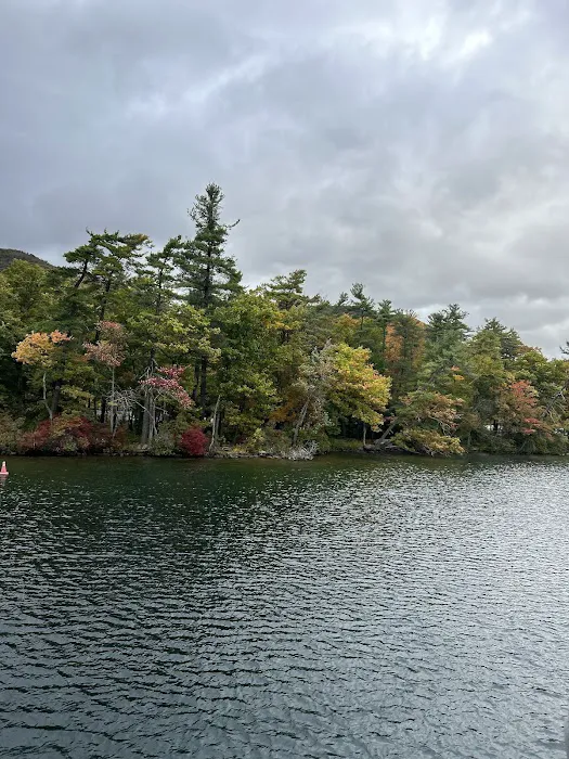 Fork Island Campground Picture 7