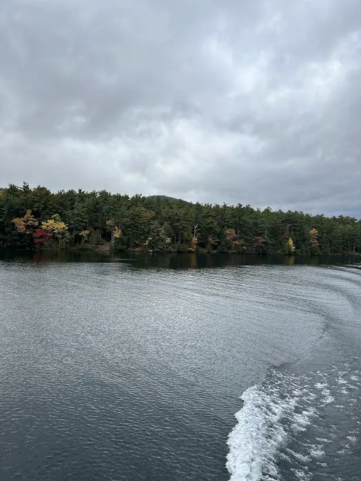 Fork Island Campground Picture 5