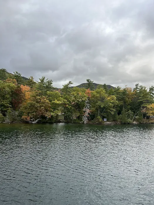 Fork Island Campground Picture 8