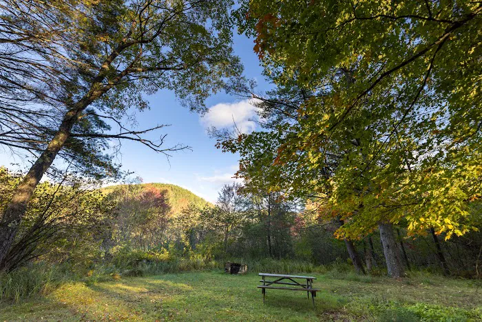 Park Mountain Campground Picture 8