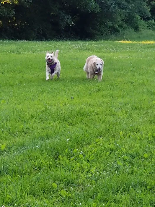 Sunsetview Farm Camping Area Picture 8