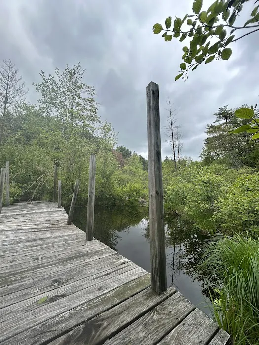 Partridge Hollow Campground Picture 3