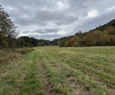 Naultaug Valley Farm LLC