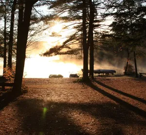 Shir-Roy Camping Area Picture 3