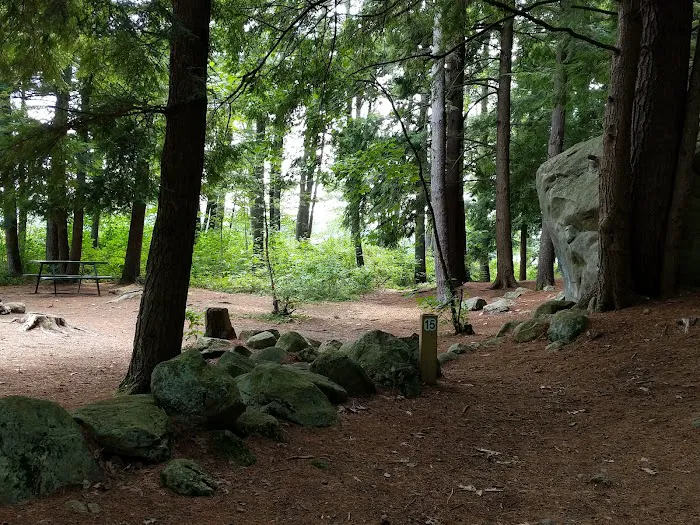 Tully Lake Campground Picture 4