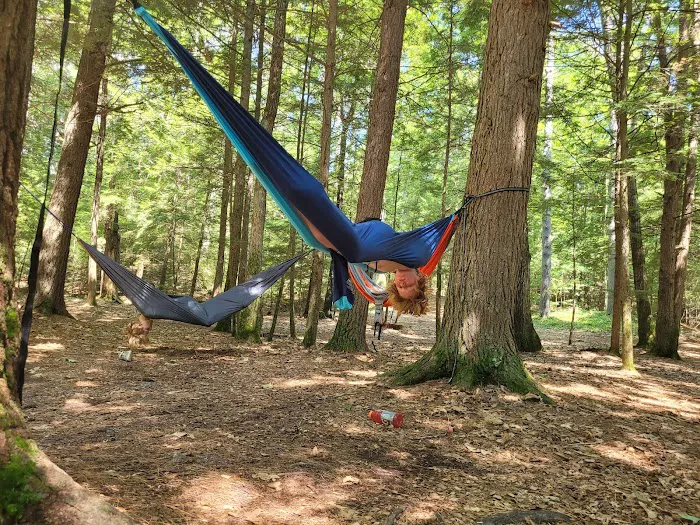 Tully Lake Campground Picture 9