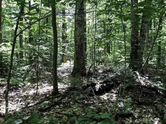 Lake Durant State Campground Picture 10
