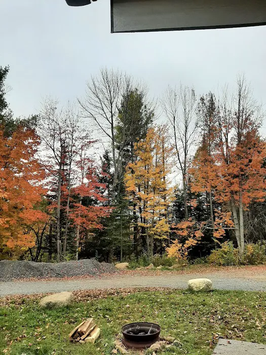 Thornbush Acres RV Park Picture 7