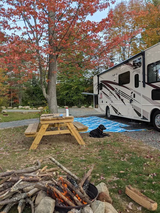 Thornbush Acres RV Park Picture 4