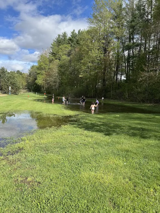Ashuelot River Campground Picture 2