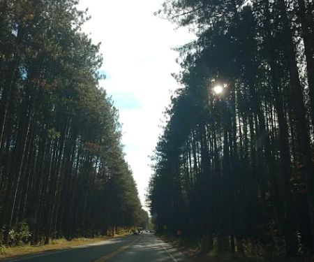 Tanglewood Estates