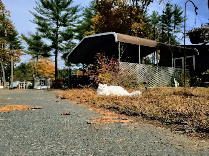 Tanglewood Estates Picture 8