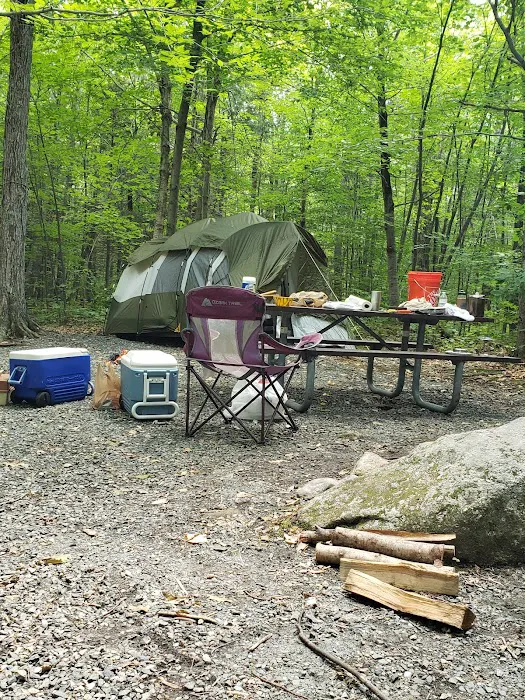Mt Sunapee State Park Campground Picture 2