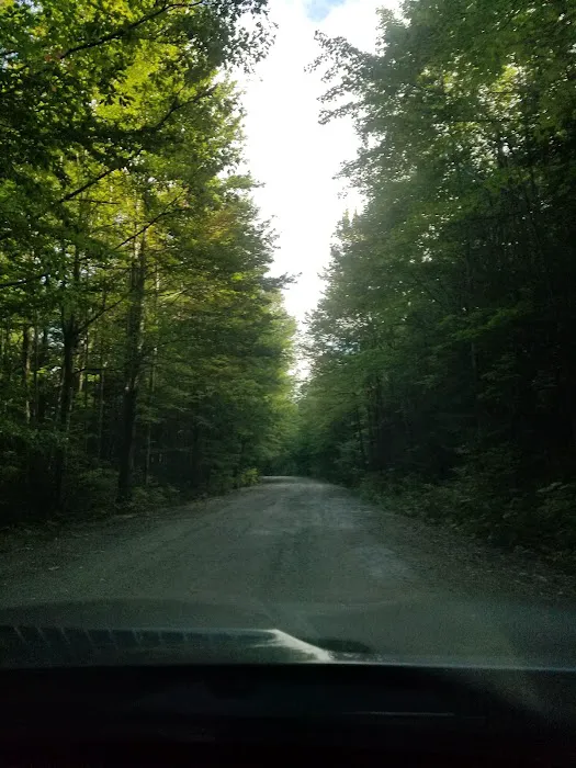 Mt Sunapee State Park Campground Picture 8