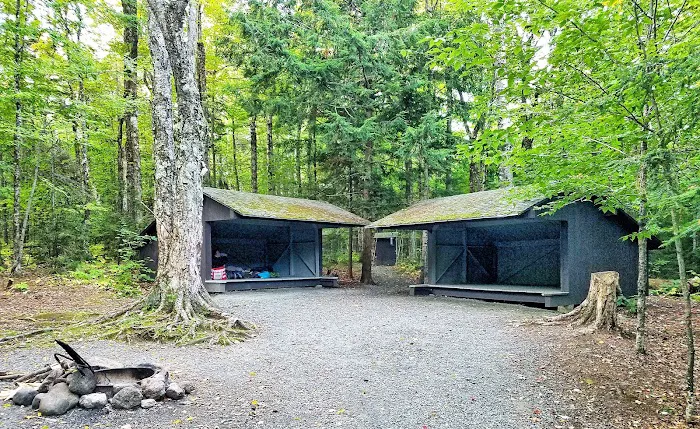 Mt Sunapee State Park Campground Picture 5