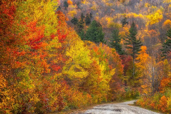 Mt Sunapee State Park Campground Picture 3
