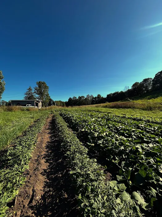 Headwaters Farm and Forest Picture 6