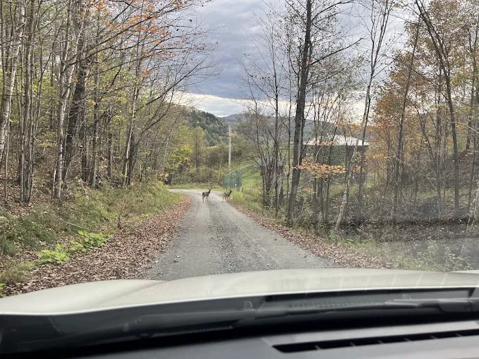 Free Verse Campground Picture 10