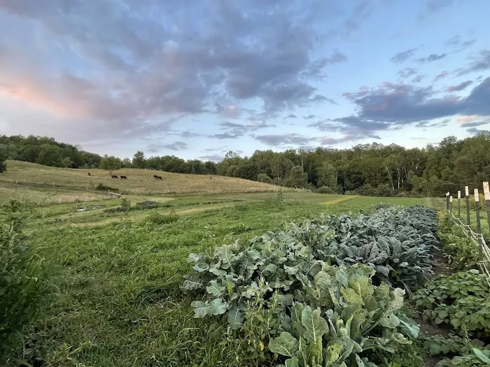 Free Verse Campground Picture 3